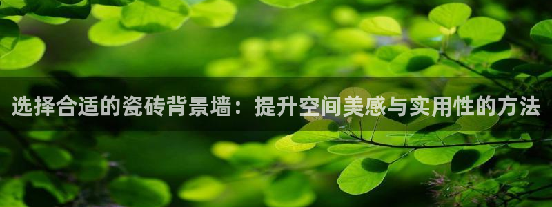 必一运动tieba.baidu.com