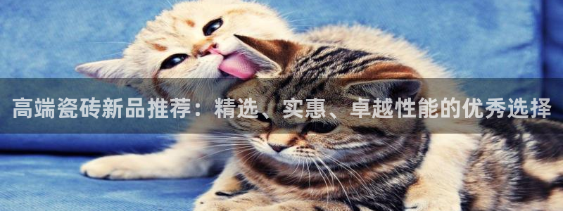 必一体育网址