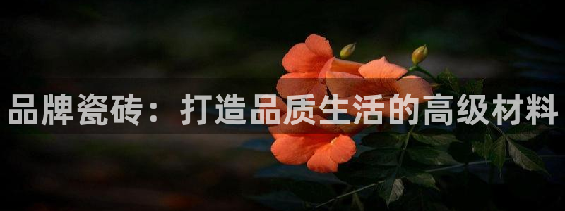 必一运动验证码