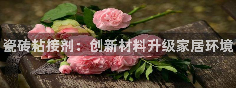 必一体育app下载最新版本