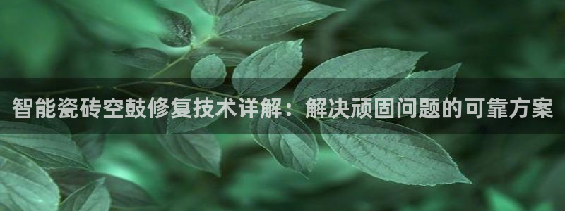 必一体育网页登录版官网