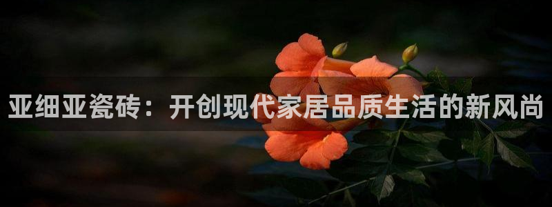 必一体育官网入口