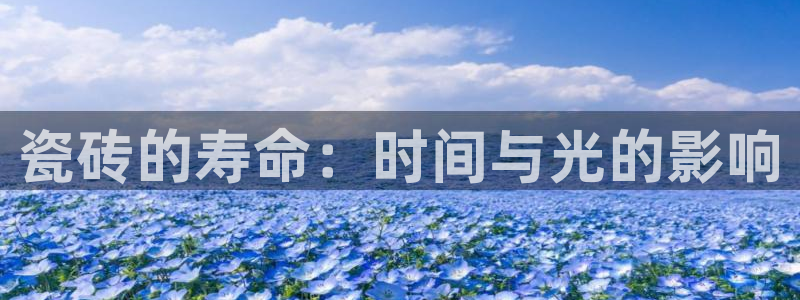 必一体育官网入口