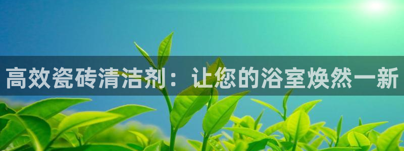 b体育必一下载