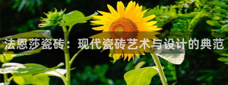 必一体育是哪里的台子
