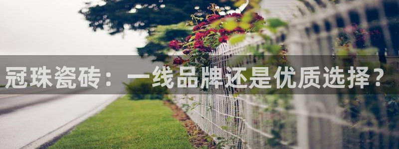 必一体育在线官网