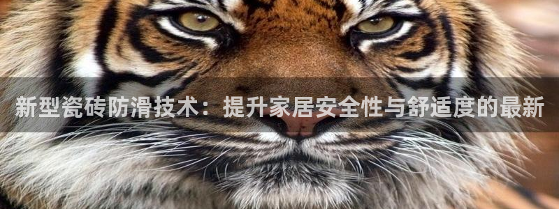 必一体育在线玩