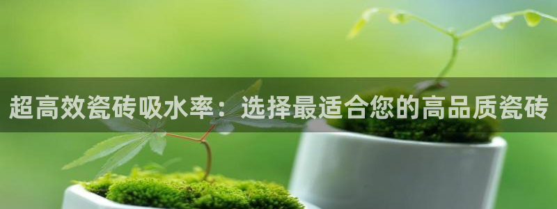必一体育sport下载