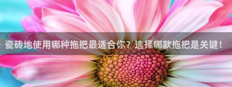 Bsport体育必一