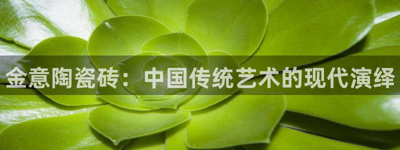 必一体育bsport下载