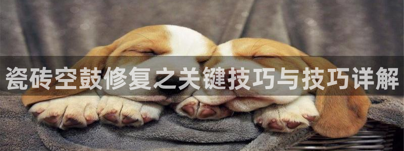 必一运动体育app