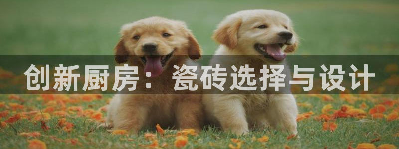 必一体育网站