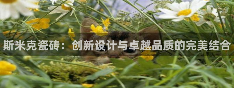 必一体育sport