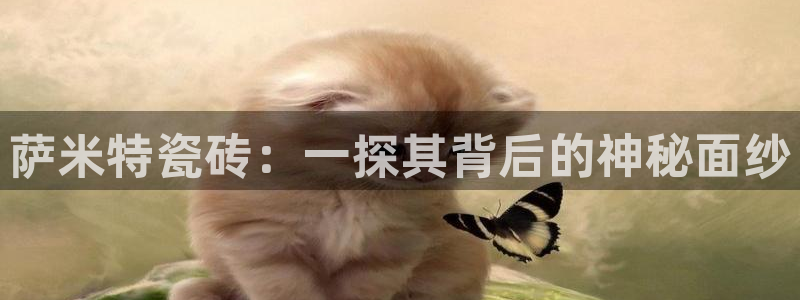 必一体育APP
