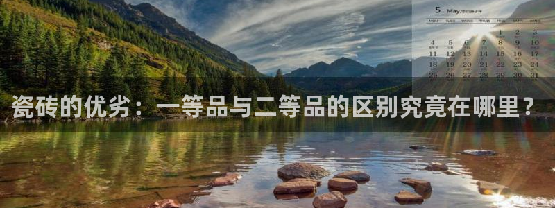 必一运动体育app
