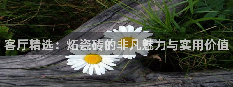 必一体育下载秀给网