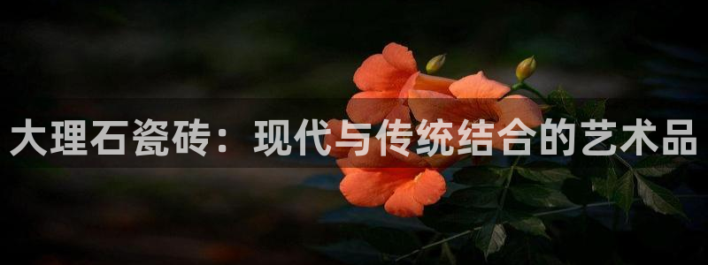 必一运动体育官网