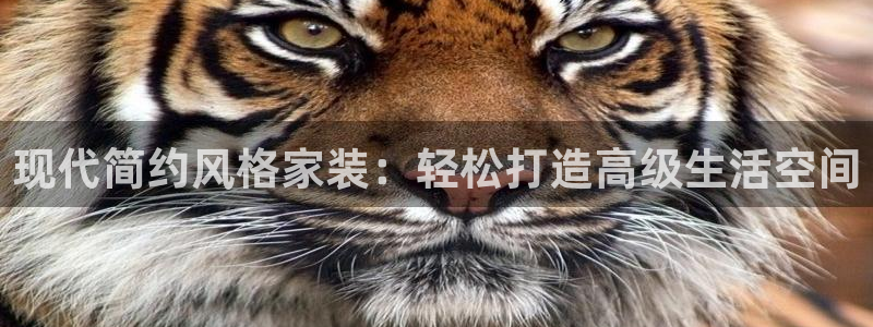 必一体育皮尔斯