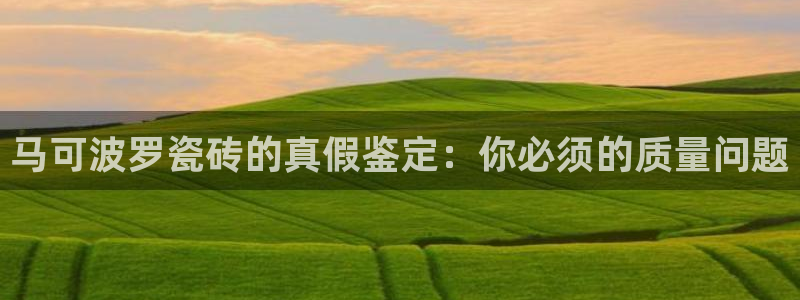 必一运动 b 体育素描版