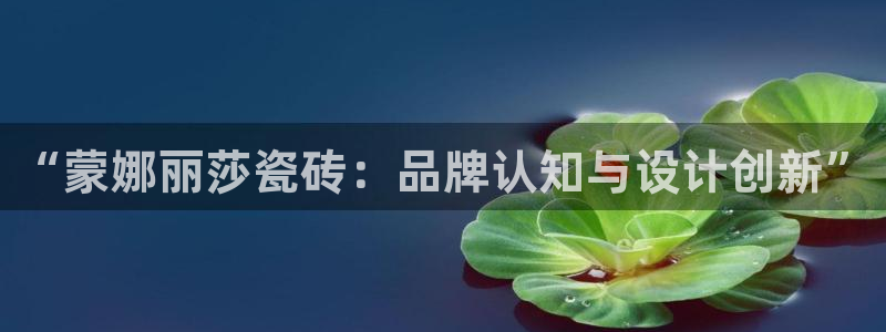 必一体育bsport下载