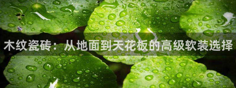 必一体育手机下载