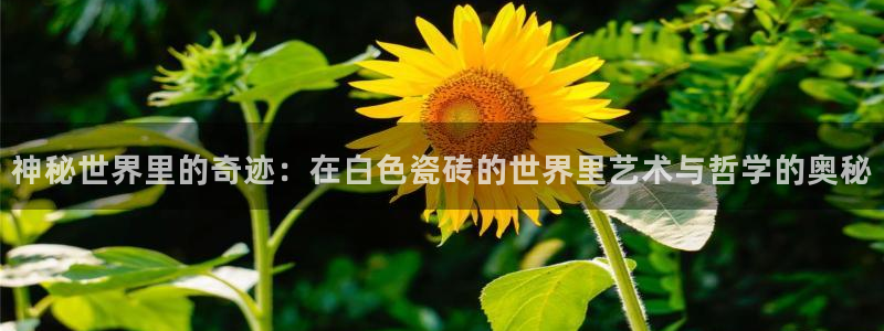 必一体育在线玩