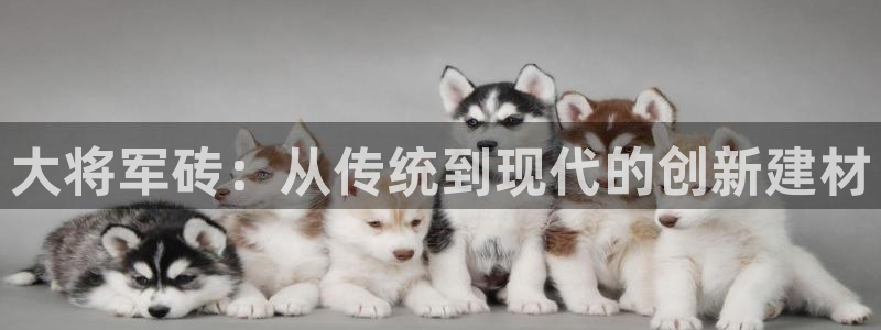 必一体育是啥