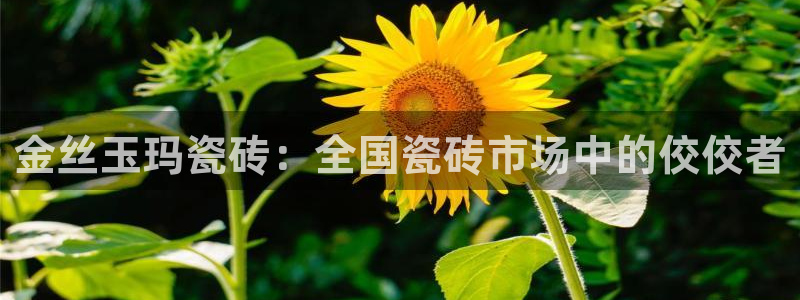 Bsport体育必一