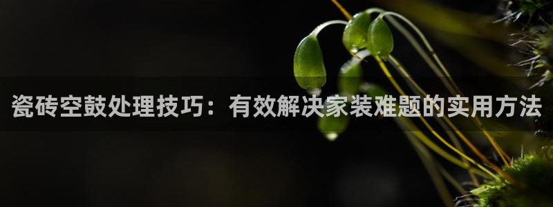 必一体育皮尔斯