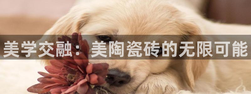 必一体育下载入口