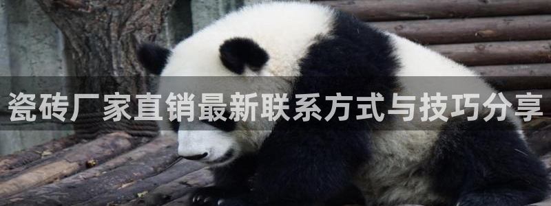 必一体育服下载最新版本更新内容