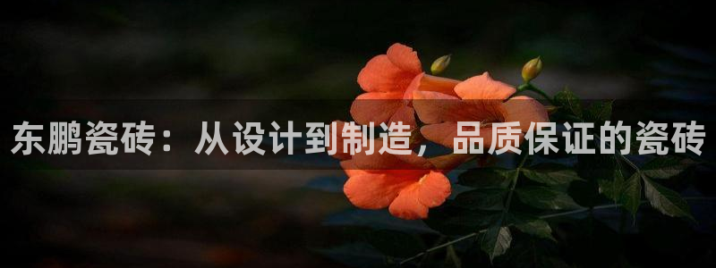 必一体育官方app下载