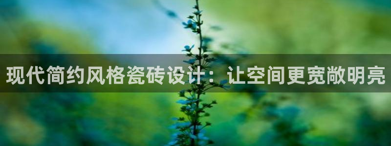 必一体育sport官方网站