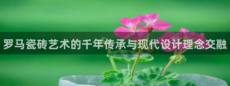 必一体育游戏特色
