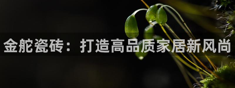 必一运动