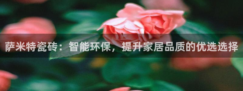 b体育必一下载