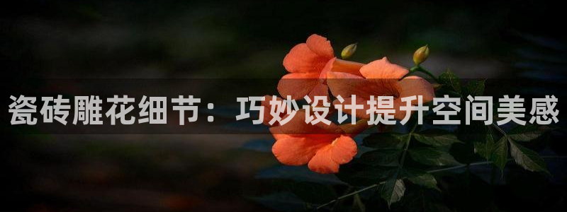 必一体育网页登陆