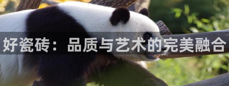 必一运动短信