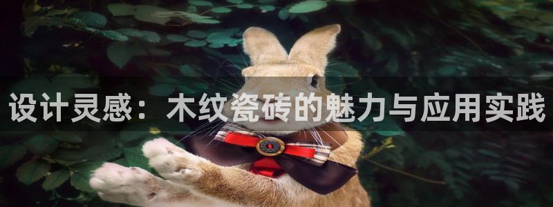 必一体育手机下载
