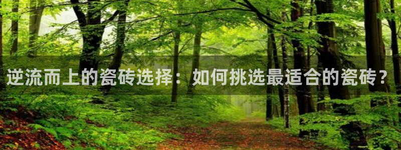 必一体育官网app