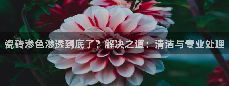 必一体育没了