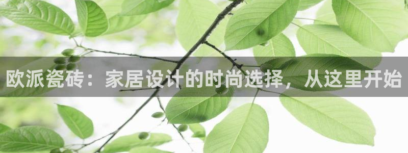 必一运动sport爱查股