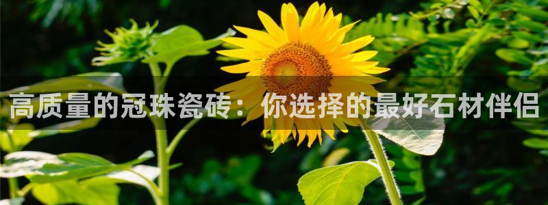 Bsport体育必一