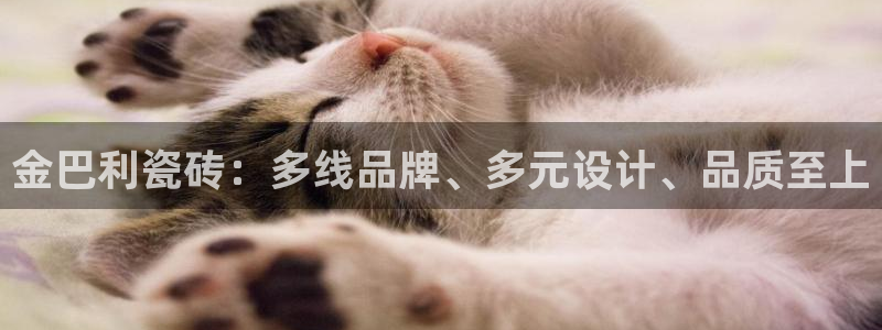 必一体育网页版登录