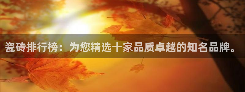 必一体育是啥