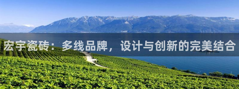 必一体育登录APP下载