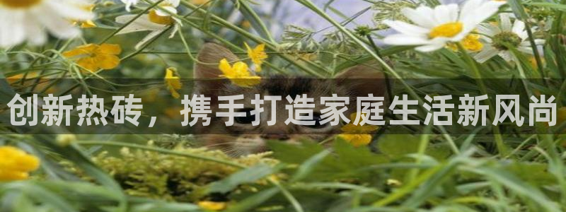 必一体育下载