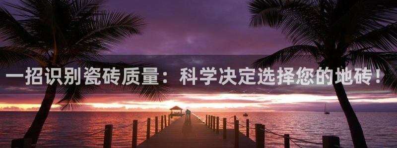 必一体育APP