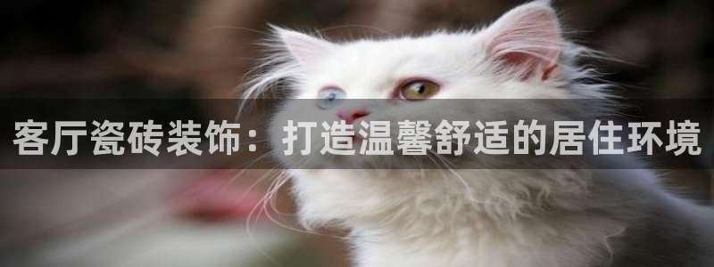 必一体育网址
