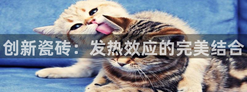 必一体育sport